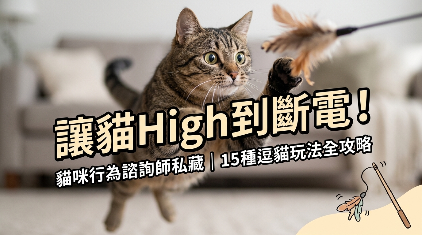 🐱 貓咪High翻天！行為諮詢師私藏「逗貓秘訣」全攻略 🎣