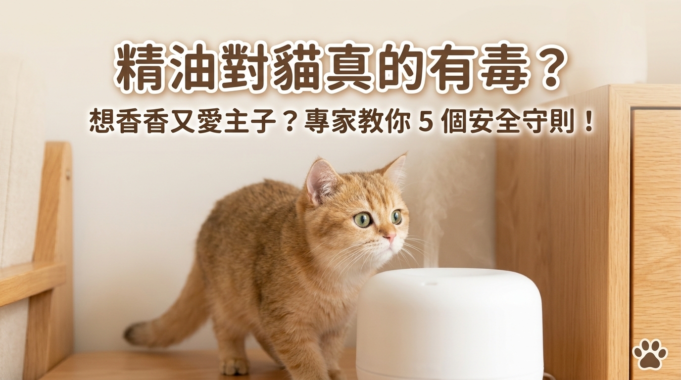 🌿 貓奴必看！家裡用香氛會害到主子嗎？5招教你安全香噴噴 🐾