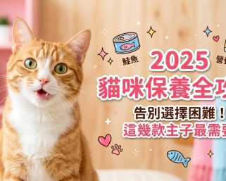 【2025 養貓指南】主子健康不踩雷！貓咪保健食品挑選全攻略 🐱💊