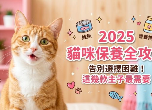 【2025 養貓指南】主子健康不踩雷！貓咪保健食品挑選全攻略 🐱💊