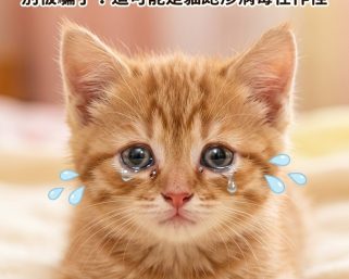 🐱 喵喵不是愛哭，是「貓皰疹」在搗蛋！