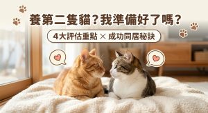 🐱 想養第二隻貓？「雙貓家庭」新手全攻略：4 大重點讓你家不變戰場！