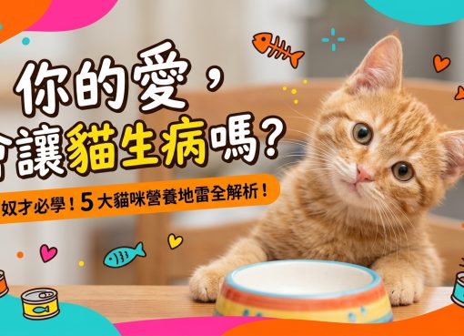🐱 貓咪怎麼吃才健康？避開這 5 大「營養地雷」！