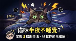 🐈 貓咪半夜開趴？3 招拯救鏟屎官睡眠，一覺到天亮！