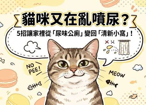 🐱 崩潰！家裡變公廁？5 招搞定貓咪噴尿地雷！