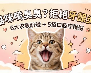 🐱 貓咪嘴巴臭臭？別忽視牙齦炎！6大症狀+5招防護，守護主子笑容 ✨