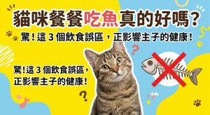 🐱 貓咪餐餐吃魚真的好嗎？打破「貓愛吃魚」的迷思！