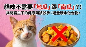 🐱 貓咪主食大陷阱！別讓「隱形碳水」吃掉主子的健康