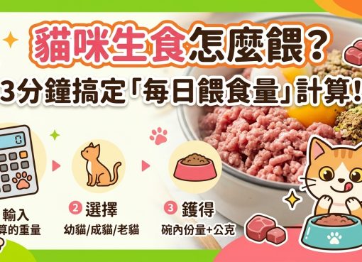 🐱 貓咪生食怎麼餵？量身打造「黃金餵食比例」全攻略！