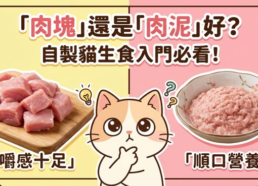 🐱 貓咪生食大對決！肉塊 vs. 肉泥，哪種才是主子的最愛？