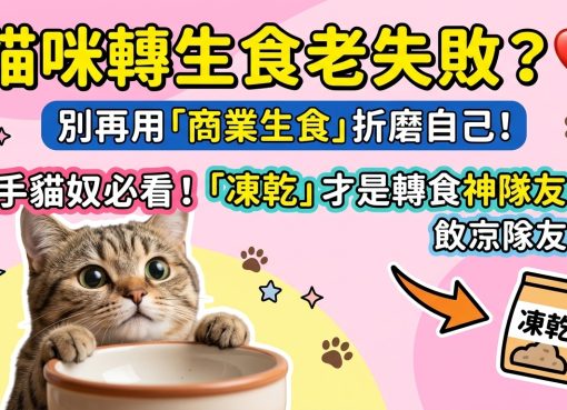 🐱 貓咪轉生食總是失敗？新手貓奴必看：為什麼「凍乾」才是最強起手式！