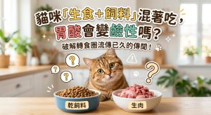 【貓咪迷思】乾飼料會讓胃酸變鹼性？生熟食到底能不能混餵？🐱🍽️