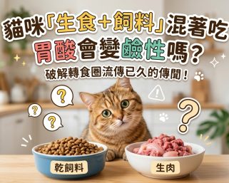 【貓咪迷思】乾飼料會讓胃酸變鹼性？生熟食到底能不能混餵？🐱🍽️