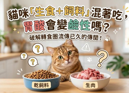 【貓咪迷思】乾飼料會讓胃酸變鹼性？生熟食到底能不能混餵？🐱🍽️